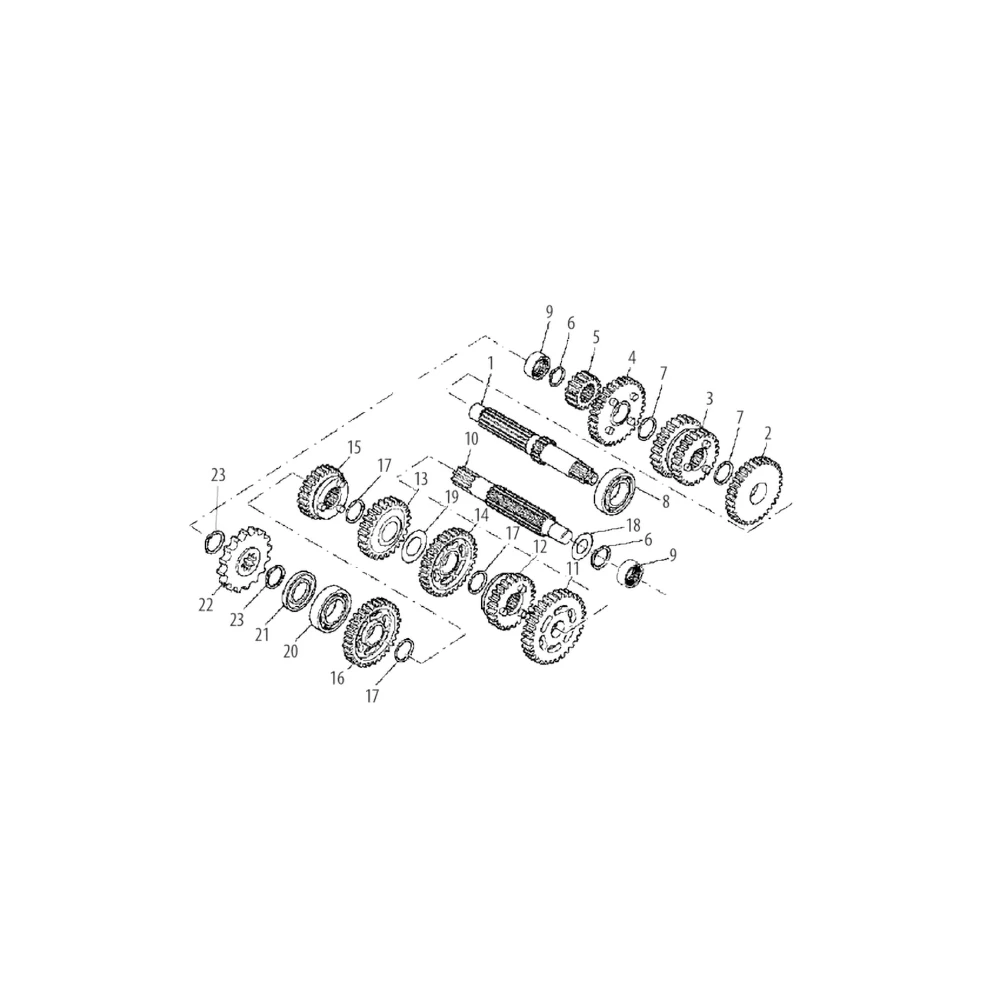 Zahnrad 2. Gang Getriebe Eingangswelle Minarelli AM6 (Nr. 5)