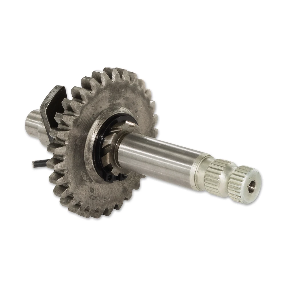 Zahnrad 29Z Kickstarterwelle Derbi Motor EBS050/EBE050/D50B0Nr16