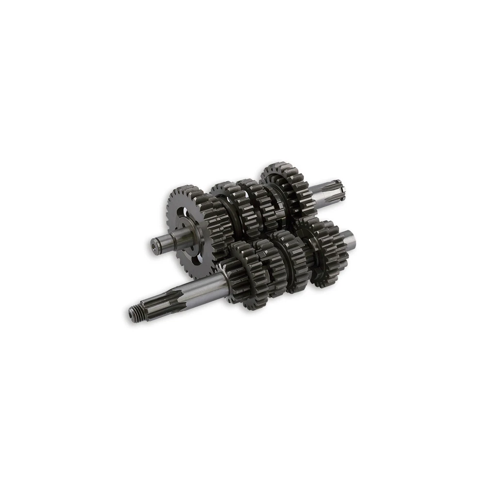 Renngetriebe Motor Derbi/Piaggio 50cc EBS050/EBE050/D50B0