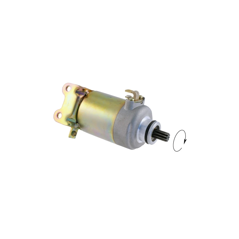 Anlasser Leonardo/Scarabeo 125-150cc Rotax-Motor