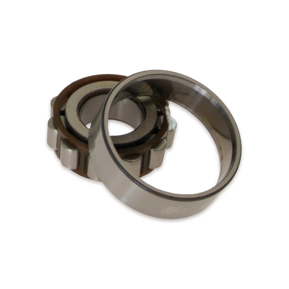 Lager SKF N204ECP 20x47x14