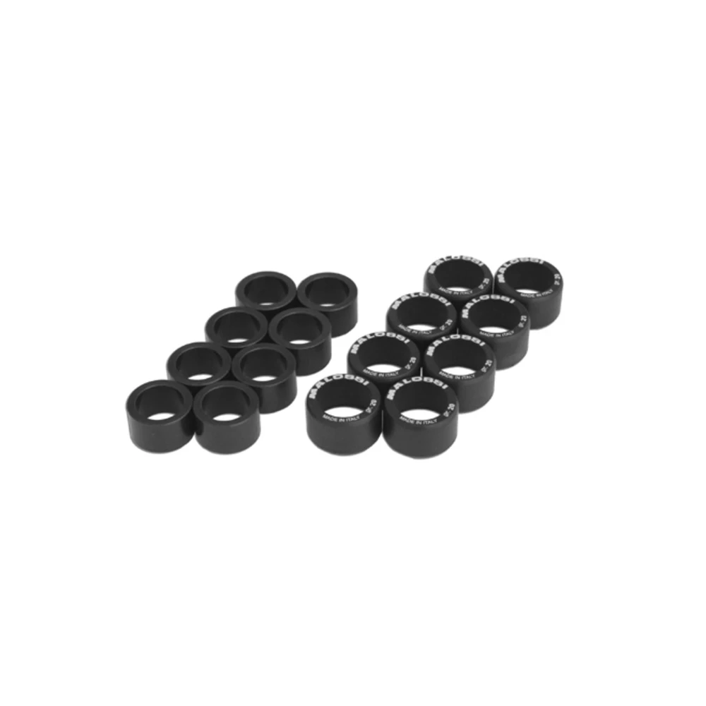 Variogewichte Malossi 25x14.9mm 16g (8 Stück)
