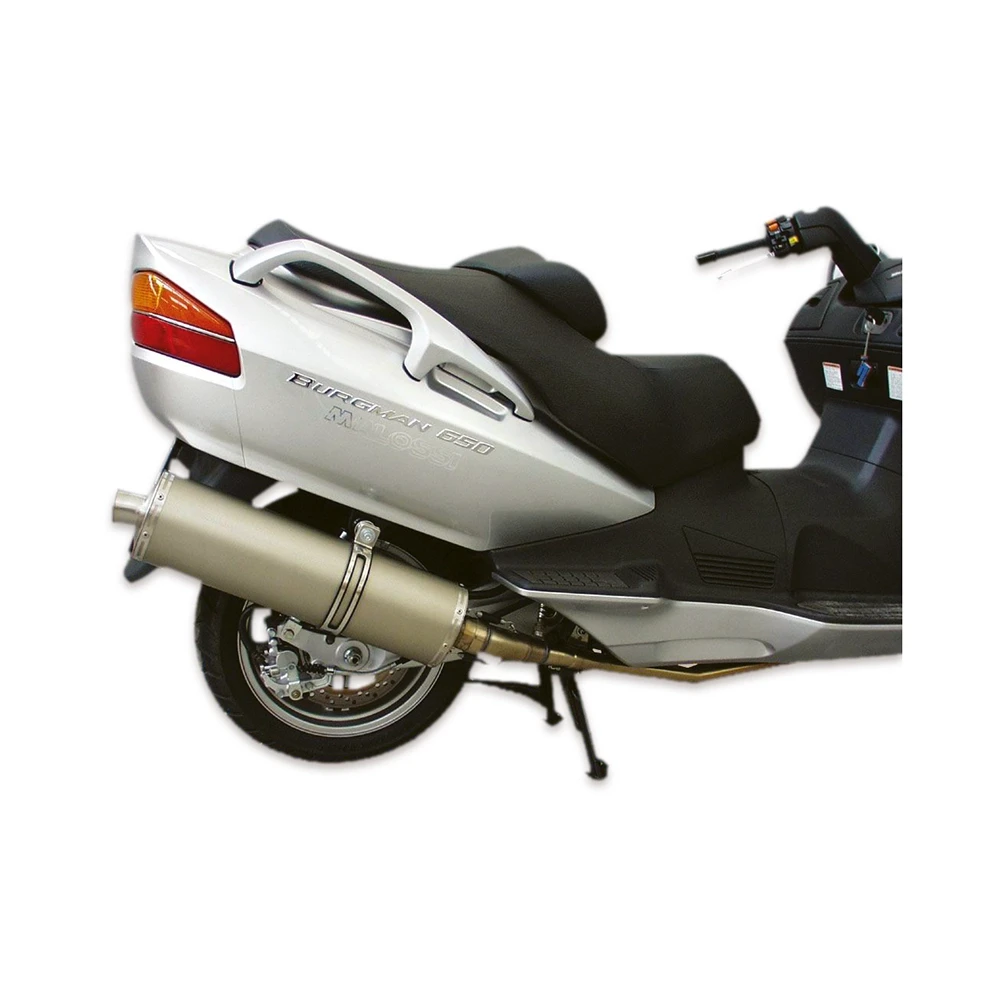 Auspuff Wild Lion Suzuki Burgman AN 650 NETTOPREIS