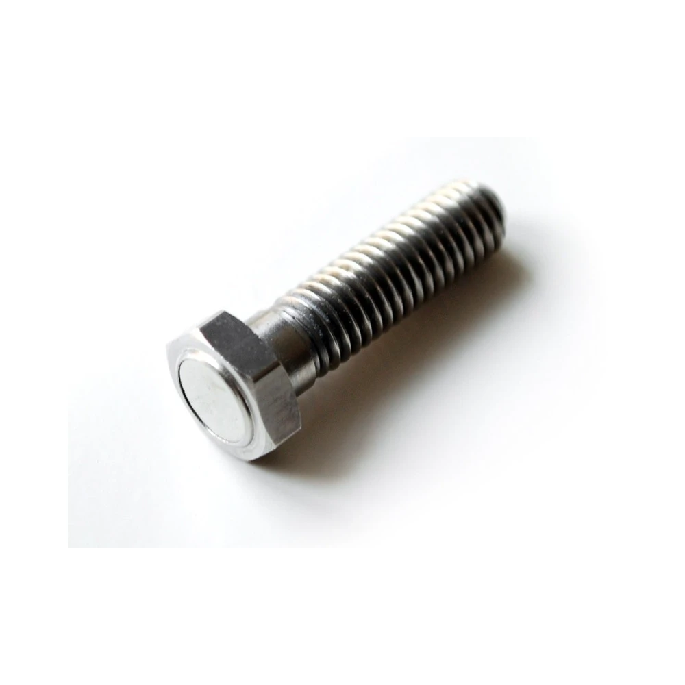 Magnetschraube motogadget M6/1 x 24mm