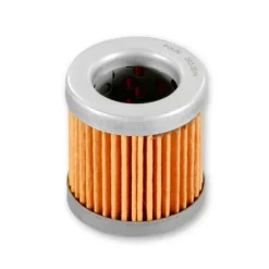 Oelfilter Polini Piaggio (wie COF081 / HF181)