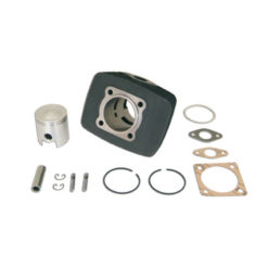 Zylinderkit Polini 47mm Guss Minarelli Fantic Issimo