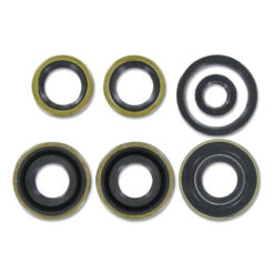 Simmerringsatz Motor Sachs 503 3-Gang