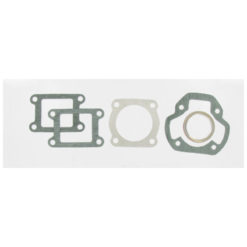 Dichtsatz Malossi zu 45020