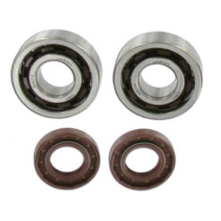 Lager (C4) und Simmerringe Viton Motor Derbi Senda EBS/EBE/D5