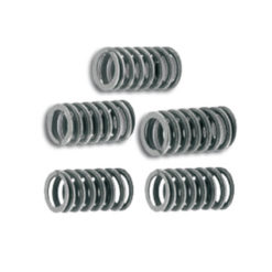 Rennkupplungsfedern Malossi Derbi Senda (5 Stück) EBS/EBE/D5