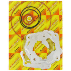 Dichtsatz Malossi zu 47765