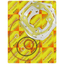 Dichtsatz Malossi zu 47875