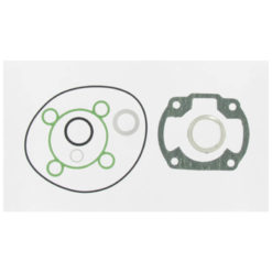 Dichtsatz Malossi zu 53300