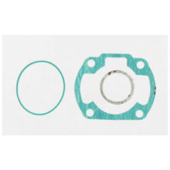 Dichtsatz Malossi zu 56900