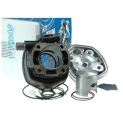 Zylinderkit Polini 47mm Guss Peugeot SC Metropolis 50 NETTOPREIS