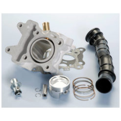 Zylinderkit Polini 44mm Yamaha Neos 4-t NETTOPREIS