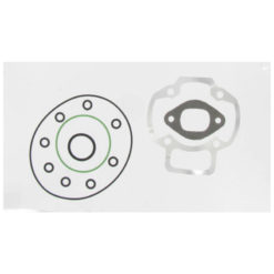 Dichtsatz Polini für 59040