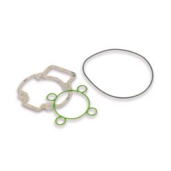 Dichtsatz Malossi H2O 47mm