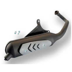Auspuff Polini Piaggio Zip air 50