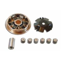 Variomat Malossi Multivar Honda NPS 50 Zoomer 2001->