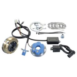 Zündung Polini Piaggio-Motor Digital NETTOPREIS