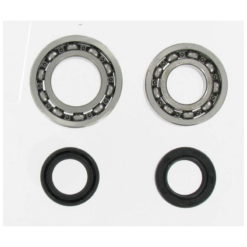 Lager und Simmerringe Italjet/Suzuki