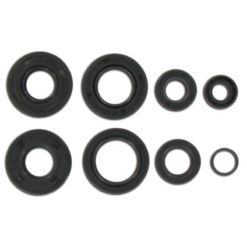 Simmerringsatz Minarelli AM6 Motor 8 Stück