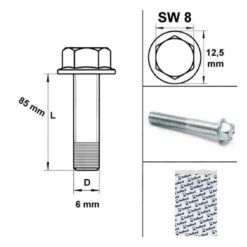 Schrauben Motorengehäuse M6x85mm SW 8mm (10 Stück)