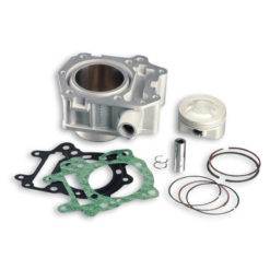Zylinderkit Malossi 67mm Aprilia Leonardo/Scarabeo (Rotax)