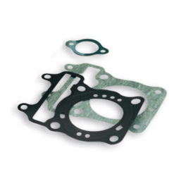 Dichtsatz Malossi zu 150550