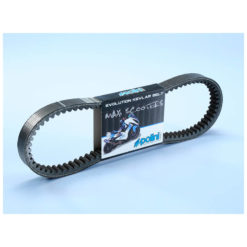 Keilriemen Polini Honda FES,PS,SH 125/Tell Logik 125