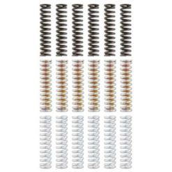 Clutch Spring Malossi Yamaha T-Max 530cc 4-t