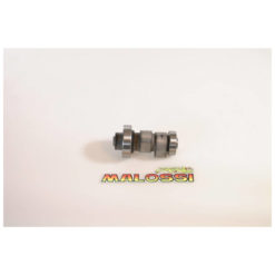 Power Cam Malossi MHR Leonardo, Majesty NETTOPREIS