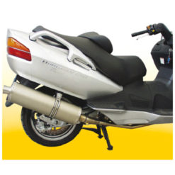 Auspuff Wild Lion Suzuki Burgman AN 650 NETTOPREIS