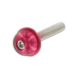 Rundkopfschraube M5x20 Inbus rot (12 Stück)