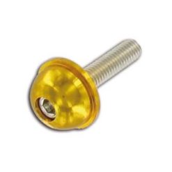 Rundkopfschraube M5x30 Inbus gold (12 Stück)