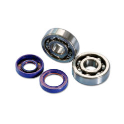 Lager und Simmerringe C4 Polini Minarelli AM6 Metall Käfig