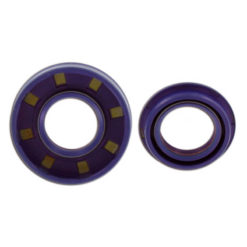 Simmerringsat Polini Teflon Minarelli Scooter 50cc (Kurbelwelle)