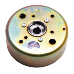 Polrad original Minarelli horizontal/vertical 50cc