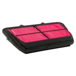 Luftfiltereinsatz CHAMPION CAF5501