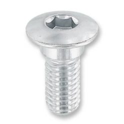 Schraube Bremsscheibe M8x22mm Linsenkopf (1 Stück)