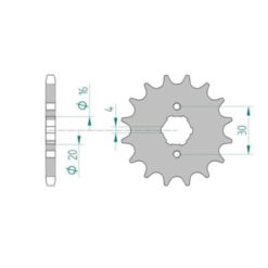 Ritzel Cagiva 428/15Z