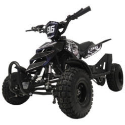 Mini Quad Raptor schwarz