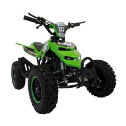 Mini Quad Big Raptor grün-schwarz