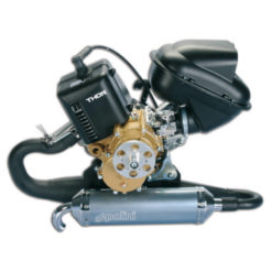 Motor Polini THOR 100