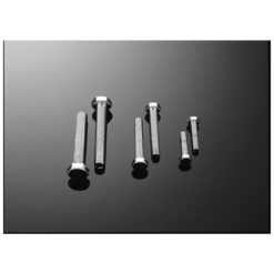 Schraube HH (10 Stück) M10x1.5mm L65mm chrom
