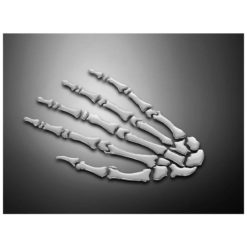 Sticker HH (Paar) SKELETON HAND für Li/Re aus Silikon (7 x 11cm)