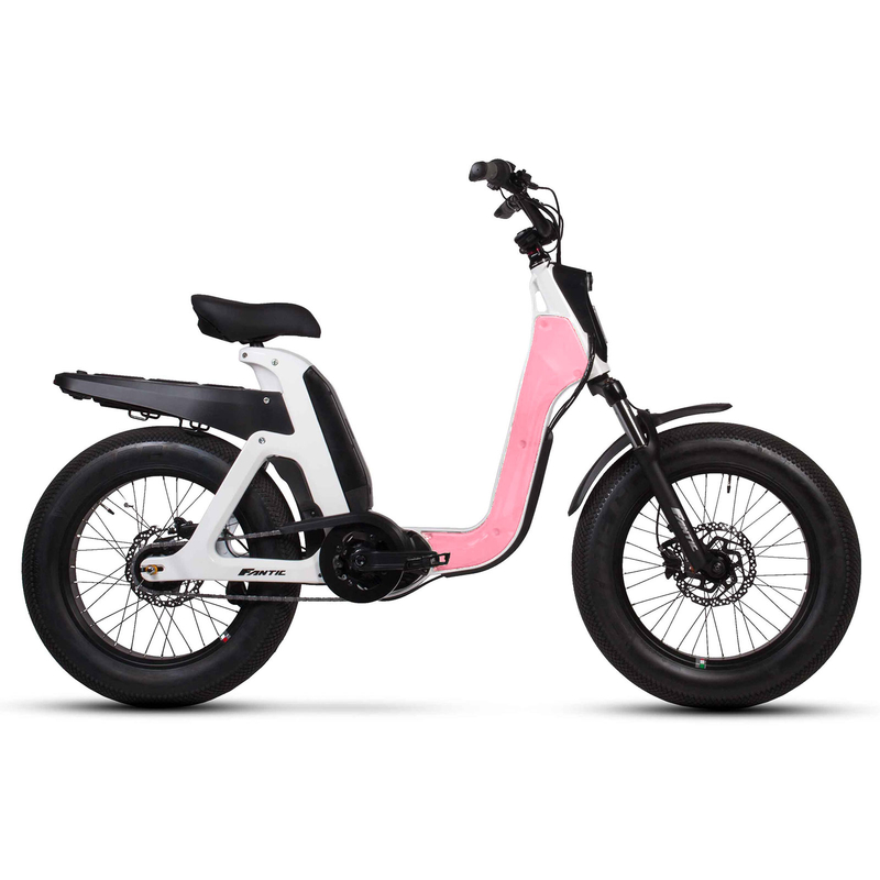 741104-fantic-issimo-cover-rosa-lady