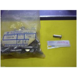 Bolzen Piaggio zu Getriebe (OEM: 251403)