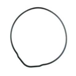 Aussen O-Ring Zylinderkopf Original AM6